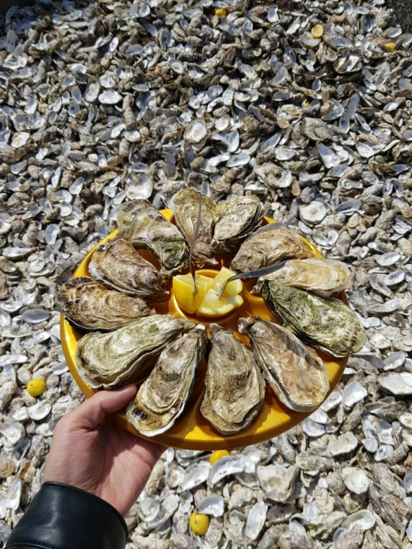 Oyster platter at Restaurant 31, Joël Dupuch seafood in Pas de la Casa